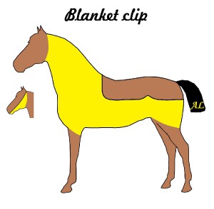 hc_06_blanket-clip.jpg
